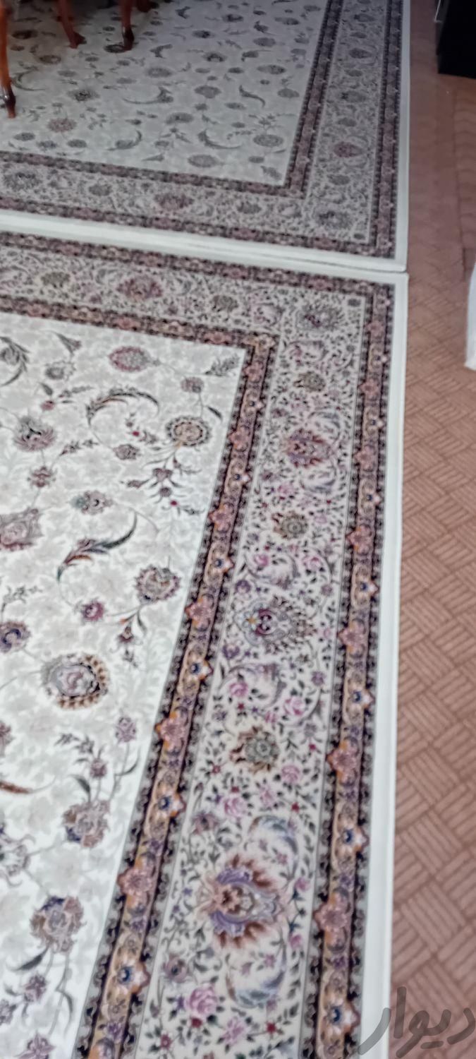 خیلی تمیز و نو|فرش|تهران, علی‌آباد|دیوار