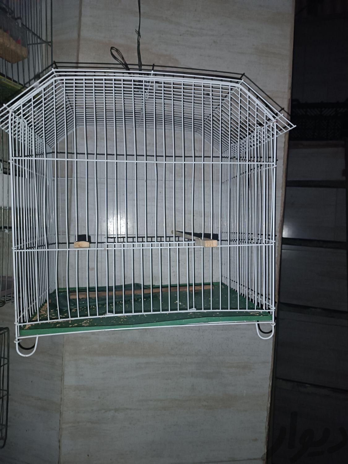 قفس قناری قرچک|پرنده|تهران, جوانمرد قصاب|دیوار
