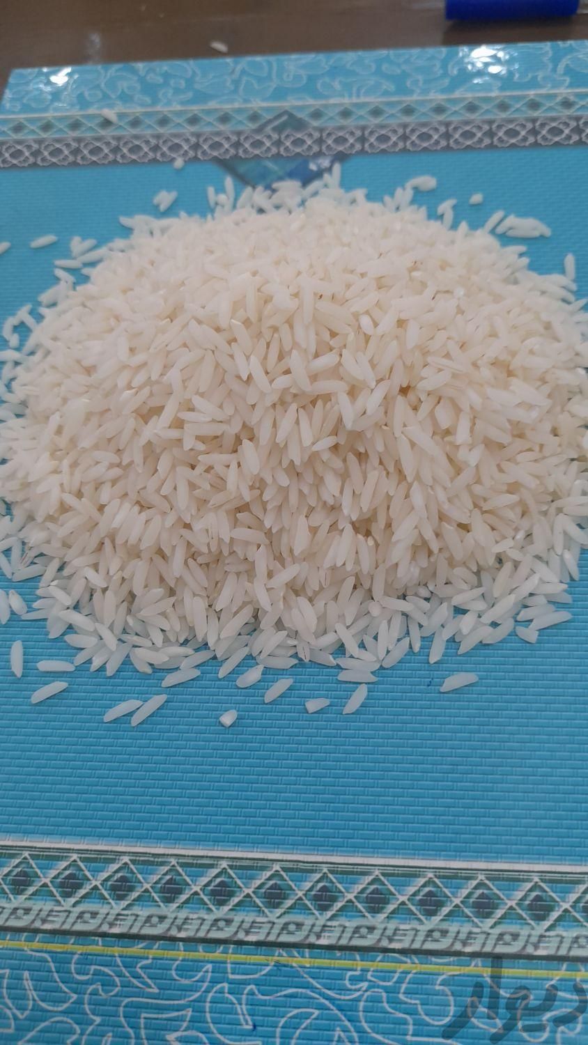 برنج طارم هاشمی فریدونکنار ، بینام ...|خوردنی و آشامیدنی|آمل, |دیوار