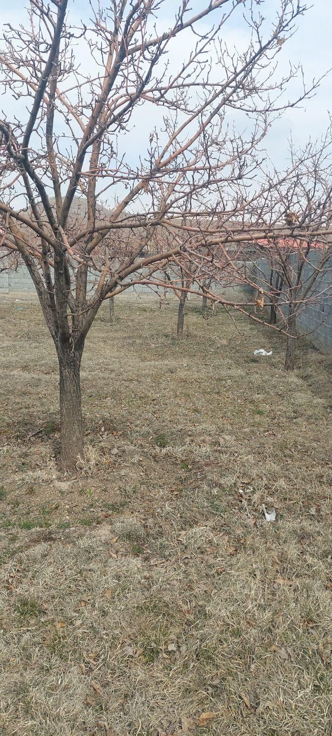 ویلا/باغ/زمین باآب وبرق درروستای زین اباد و مزرعه|فروش خانه و ویلا|تبریز, |دیوار