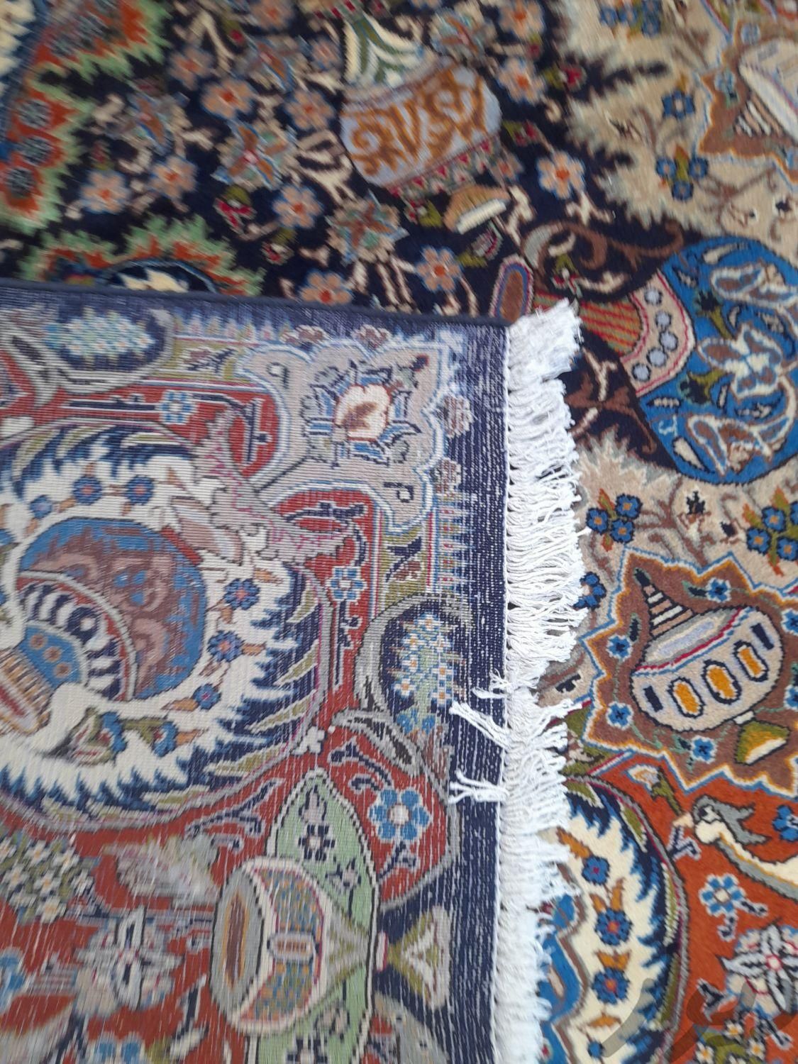 قالی دستبافت کاشمر|فرش|تهران, صفائیه (چشمه علی)|دیوار