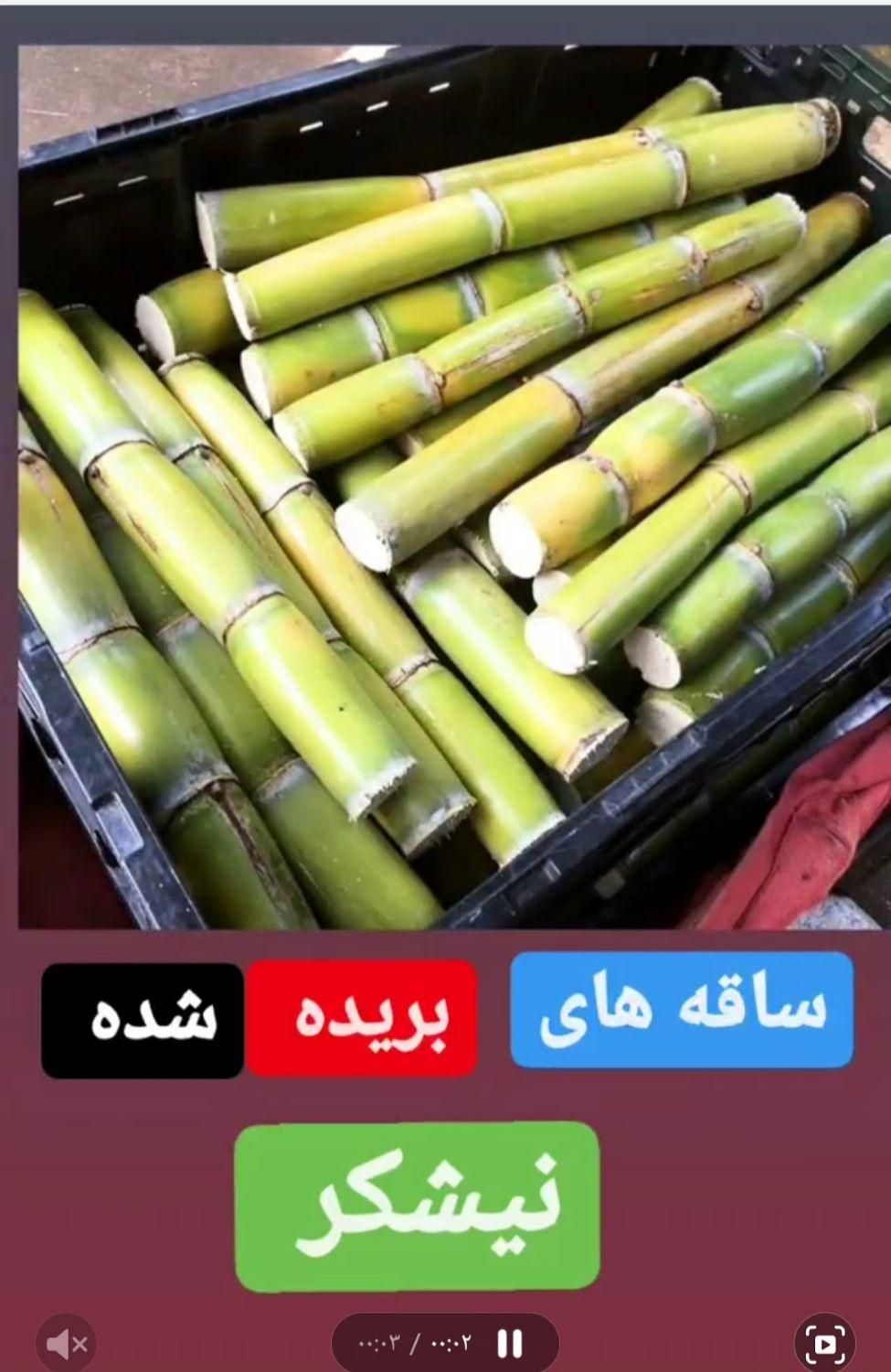 ملاس نیشکر|عمده‌فروشی|تهران, آرژانتین|دیوار