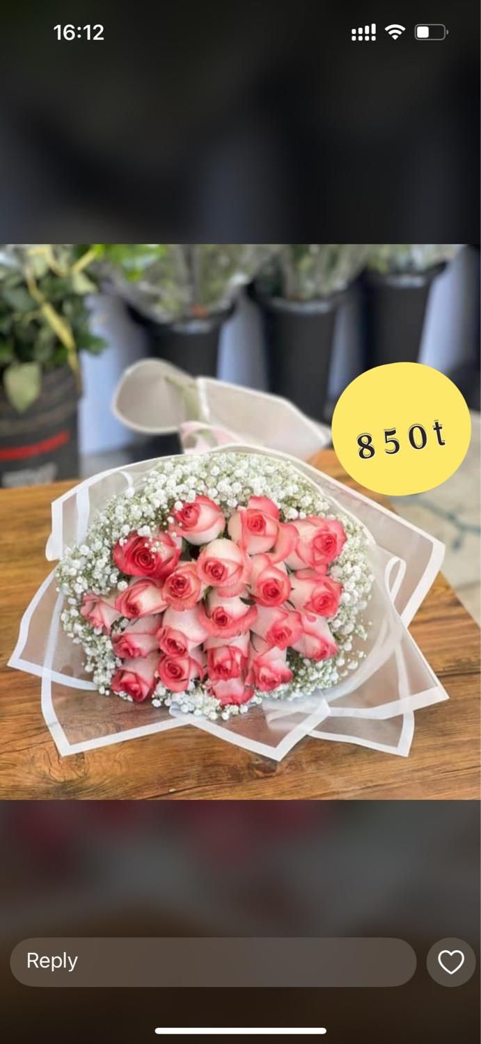 دسته گل رز هلندی با طراحی خاص و زیبا|گل و گیاه طبیعی|تهران, اکباتان|دیوار