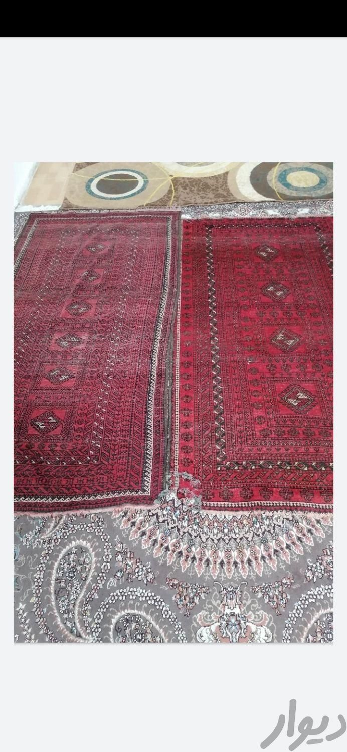 قالیچه پشمی قدمت دار ۸۰سال دوتاباهم|فرش|مشهد, بلال|دیوار