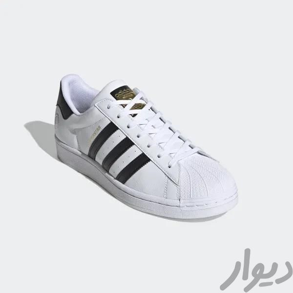 کفش adidas superstar 42|کیف، کفش و کمربند|شیراز, تاچارا|دیوار