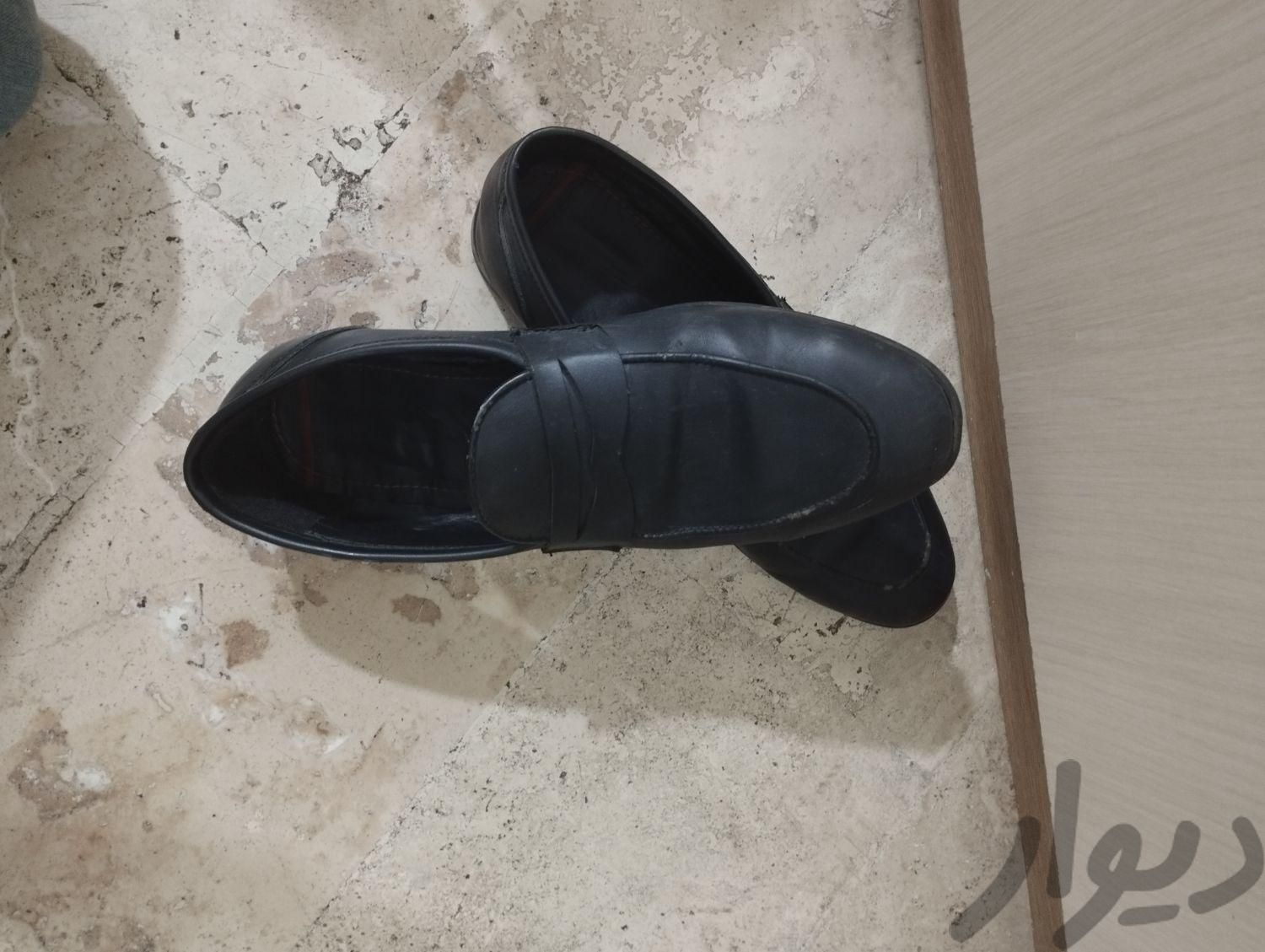 کفش مردونه نو|کیف، کفش و کمربند|تهران, نعمت‌آباد|دیوار