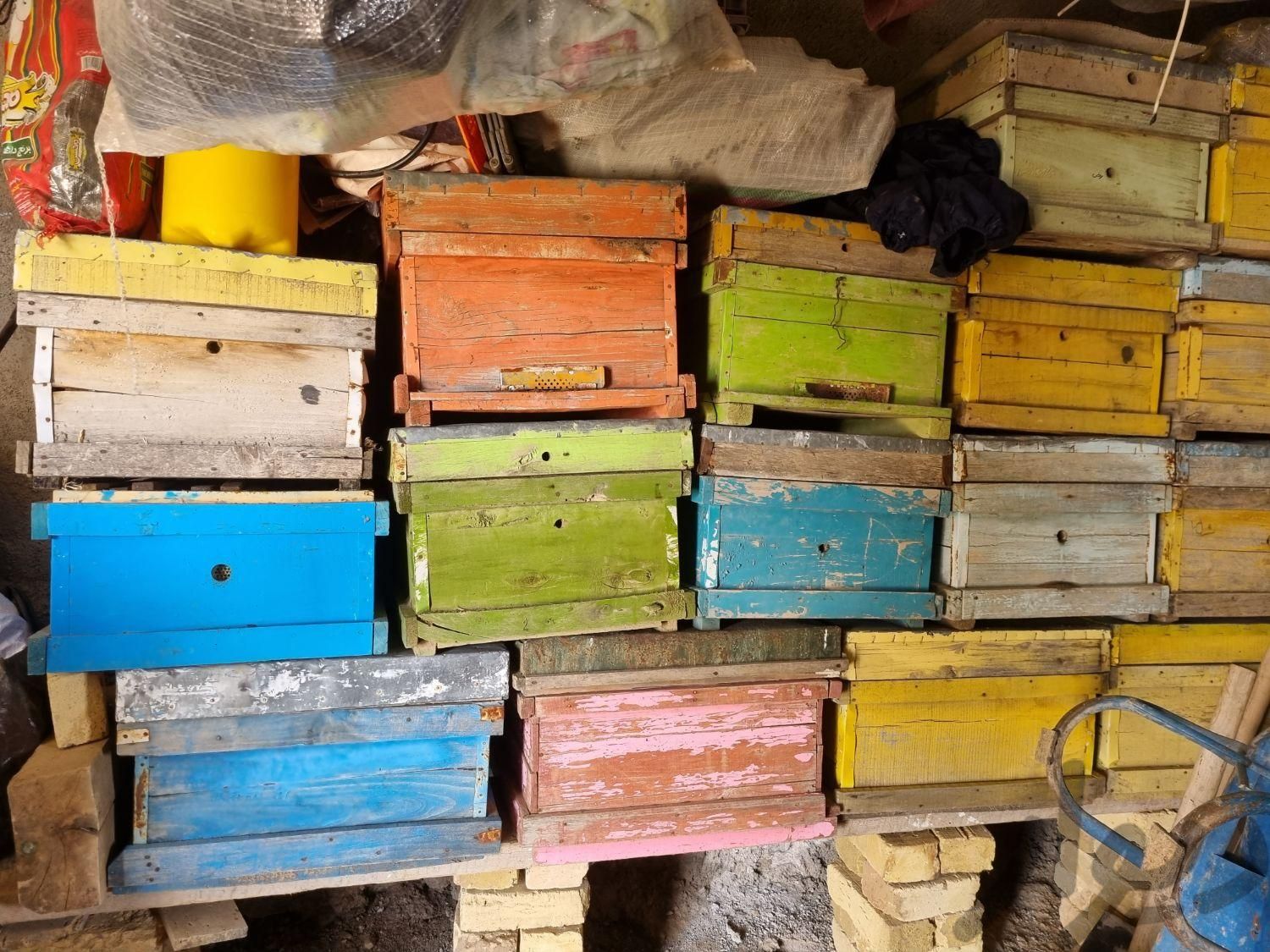 کندوی زنبور عسل|لوازم جانبی مربوط به حیوانات|زنجان, |دیوار