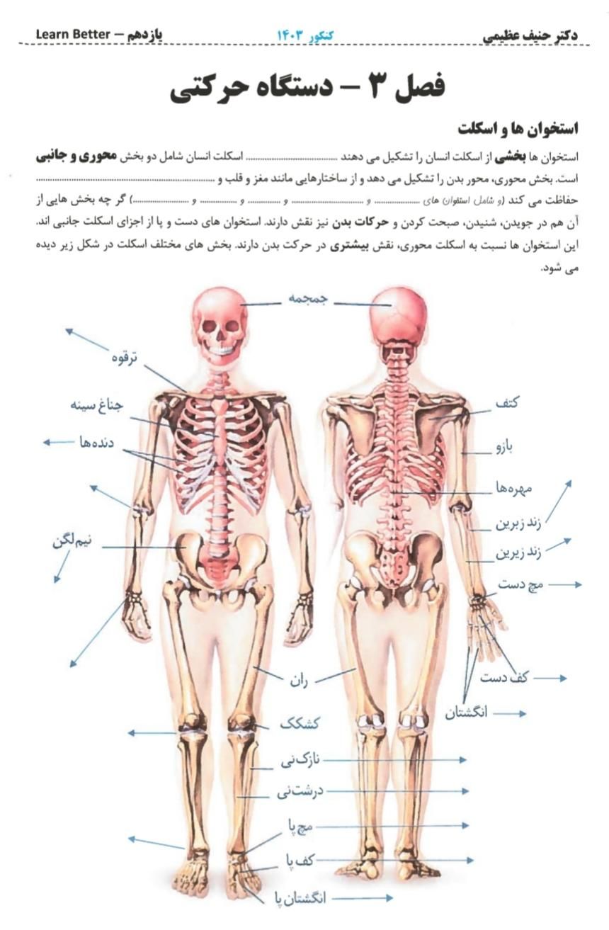 کتاب ۱۴۰۴ زیست حنیف عظیمی تاملند کلاسینو جزوه|کتاب و مجله آموزشی|تهران, میدان انقلاب|دیوار