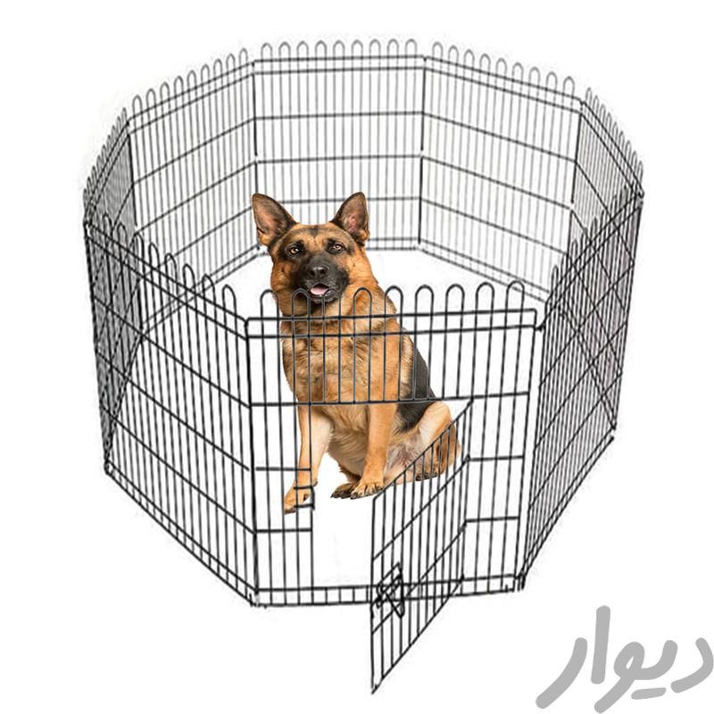 قفس سگ تولیدی|لوازم جانبی مربوط به حیوانات|نجف‌آباد, |دیوار