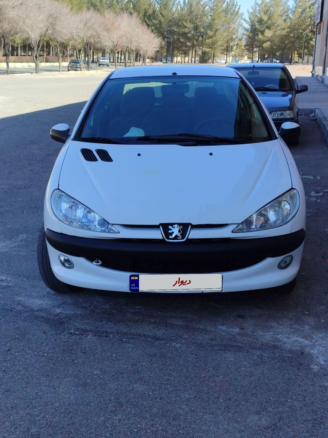 پژو 206 SD V8، مدل ۱۳۹۰|خودرو سواری و وانت|رفسنجان, |دیوار