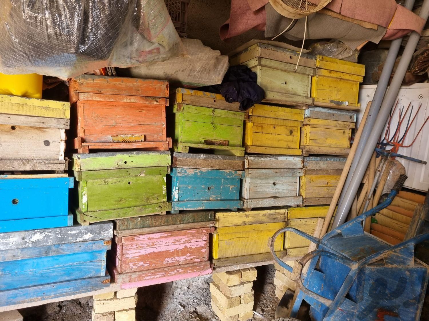 کندوی زنبور عسل|لوازم جانبی مربوط به حیوانات|زنجان, |دیوار