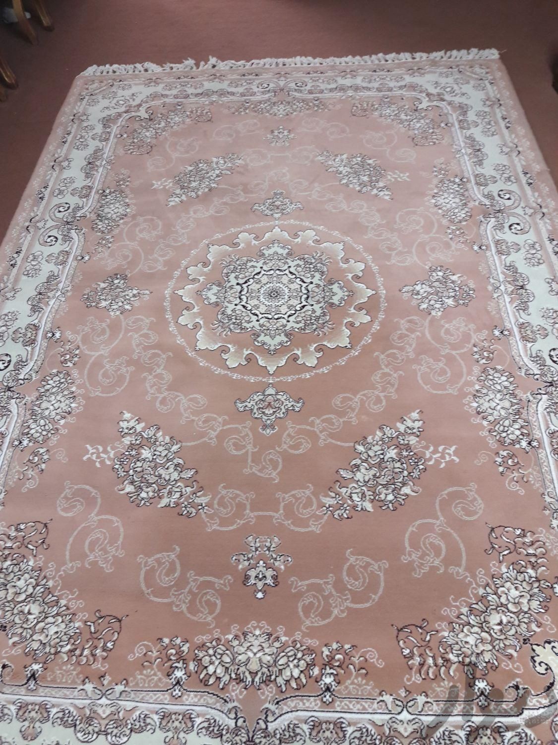 ۶ متری فرش آرا تمیز|فرش|مشهد, احمدآباد|دیوار