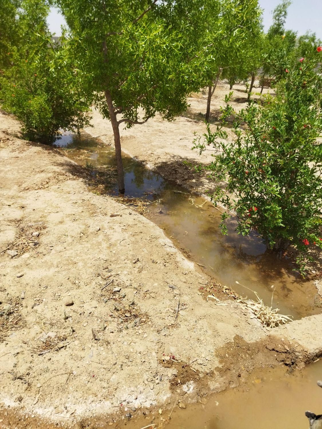 تصویر 3