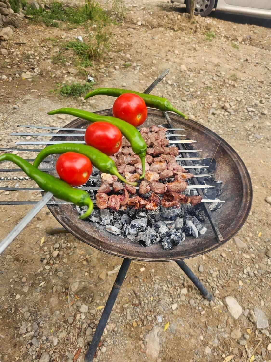 باربیکیو آتشدان پارمیس کد۴۱۲ و ۷۱۲با توری استیک پز|مصالح و تجهیزات ساختمان|تهران, عباس‌آباد|دیوار