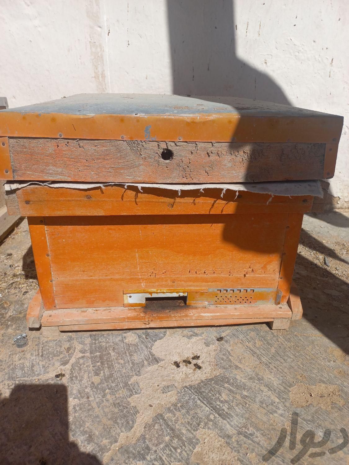 جعبه  زنبور|لوازم جانبی مربوط به حیوانات|زنجان, |دیوار