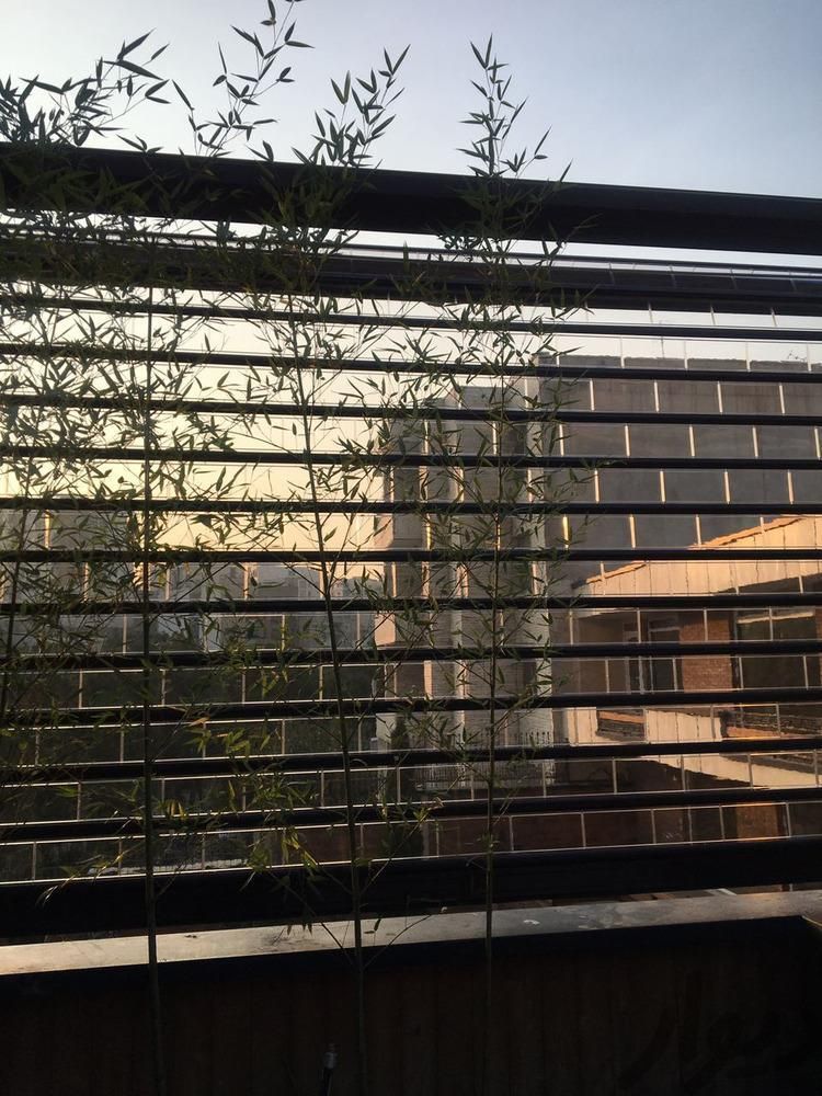 کرکره پلی کربنات درب اتوماتیک با زوار آلومینیوم|مصالح و تجهیزات ساختمان|تهران, لویزان|دیوار