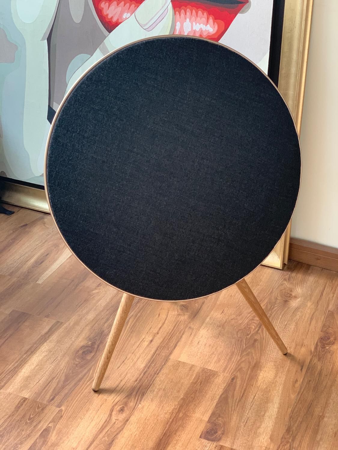 اسپیکر bang & olufsen|سیستم صوتی خانگی|تهران, درکه|دیوار