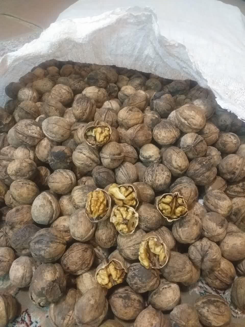 گردو درجه ۱تویسرکان کیلویی ۲۵۰|خوردنی و آشامیدنی|تهران, مشیریه|دیوار