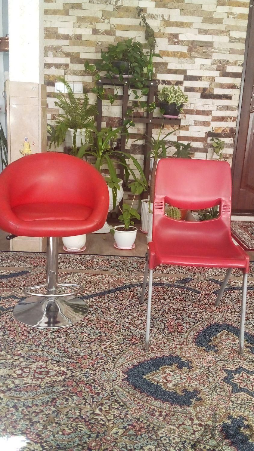 صندلی|صندلی و نیمکت|سیرجان, |دیوار