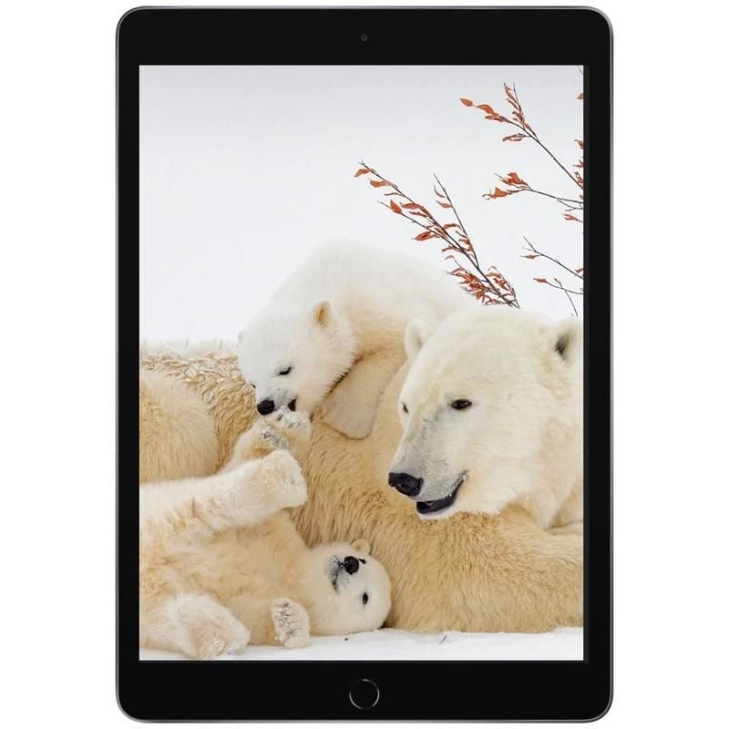 تبلت اپل ipad مدل iPad (9th) 10.2 Wi-Fi  64 گیگ|تبلت|اصفهان, آبشار|دیوار