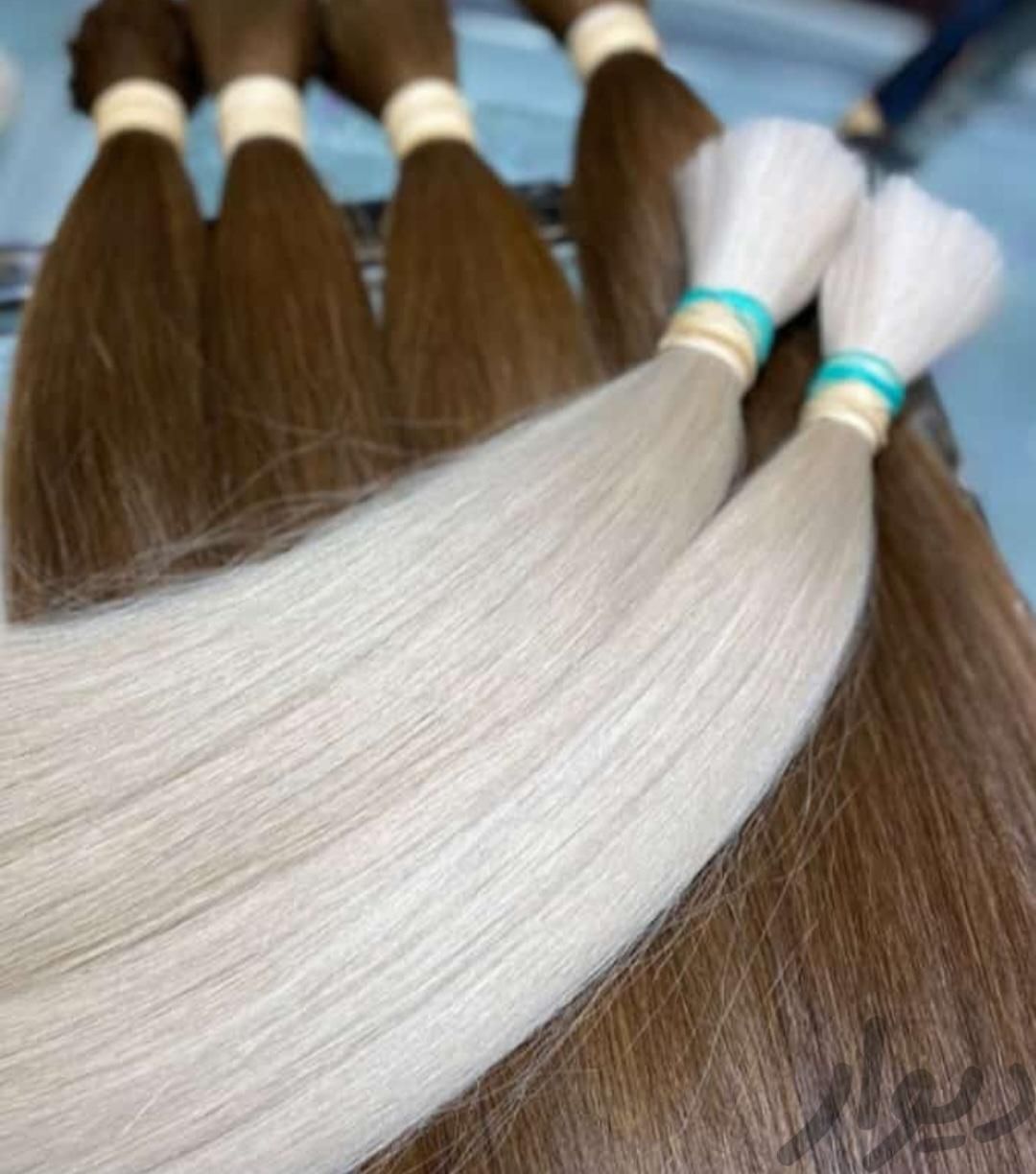خرید مو طبیعی خریدار مو طبیعی در ایران خریدار اصلی|وسایل آرایشی، بهداشتی و درمانی|قم, انصار‌الحسین|دیوار