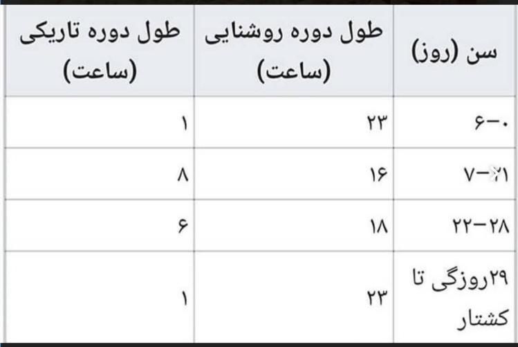 جوجه گوشتی یک روزه|حیوانات مزرعه|تهران, بازار|دیوار