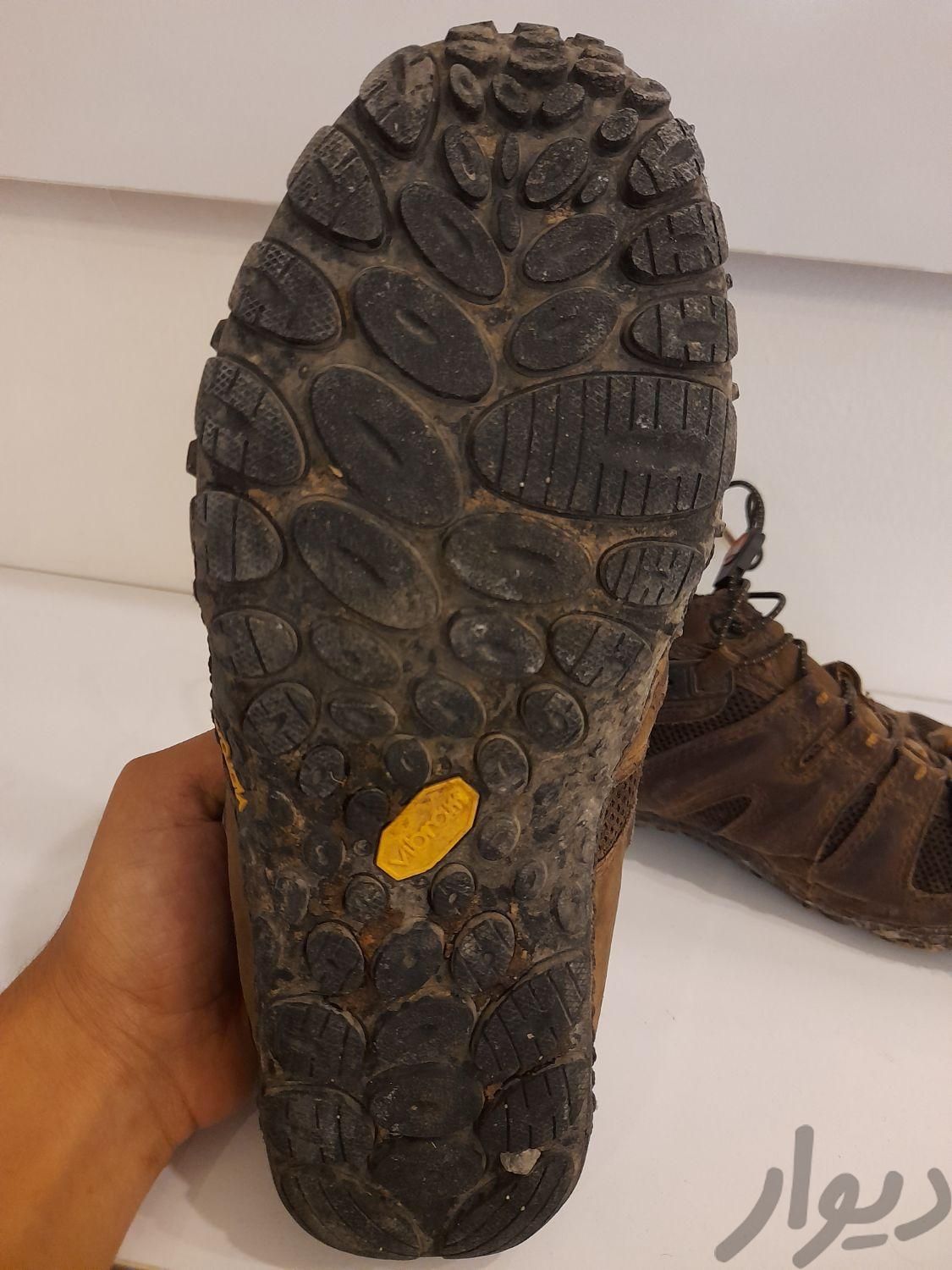 کفش کوهنوردی مرل|کیف، کفش و کمربند|مشهد, محله رده|دیوار