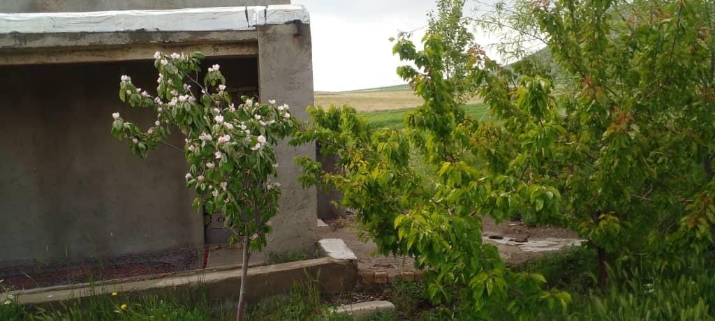 باغ میوه بیجار کردستان|فروش زمین و ملک کلنگی|تهران, آبشار|دیوار