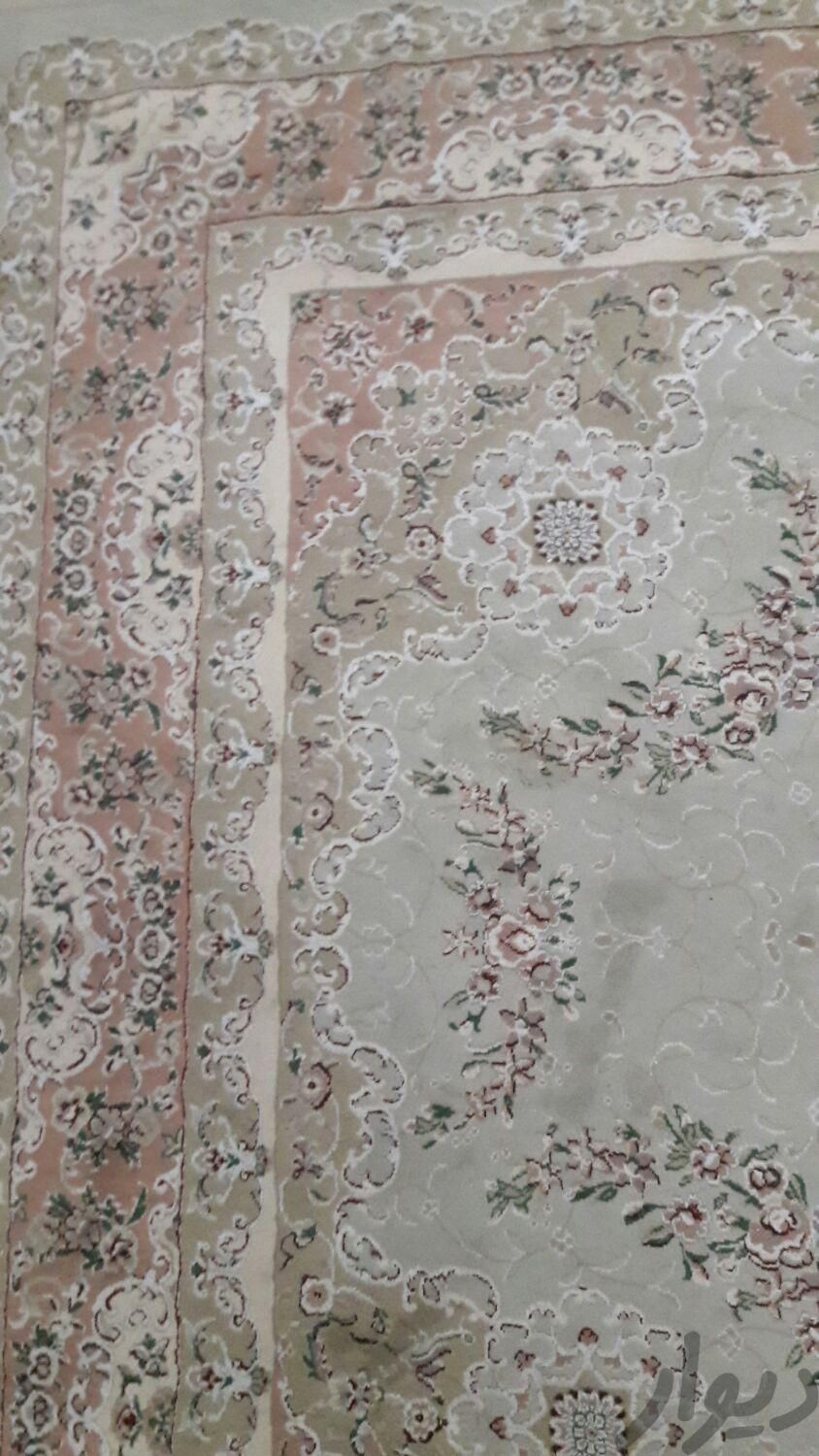 فرش شش متری رادین مشهد|فرش|تهران, حکیمیه|دیوار