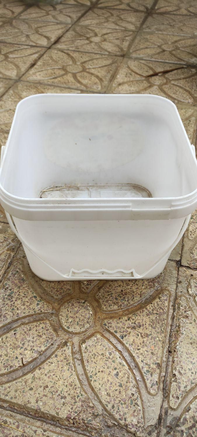 جانونی باکس سطل|ظروف نگهدارنده، پلاستیکی و یکبارمصرف|کاشان, |دیوار