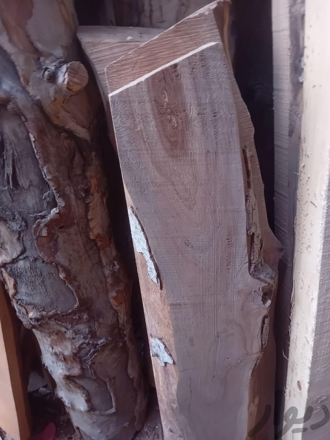 چوب چنار خشک|عمده‌فروشی|تهران, عارف|دیوار