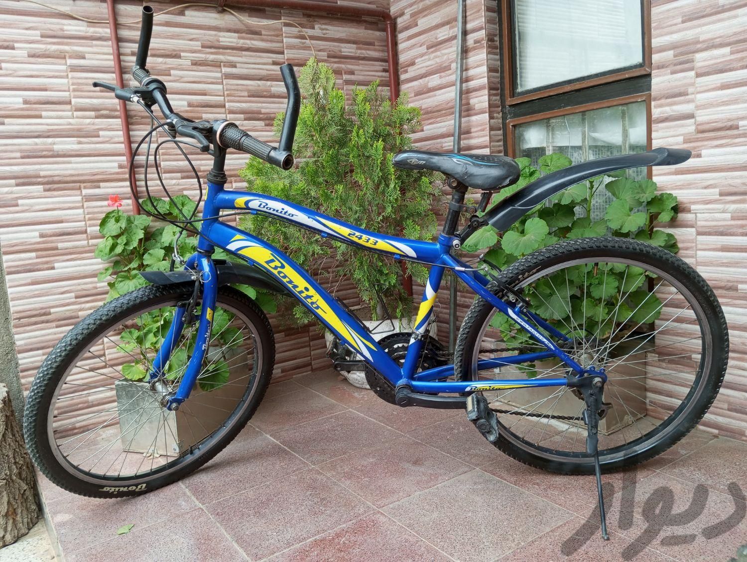 دوچرخه سایز۲۴بونیتو دنده ای فابریکی|دوچرخه، اسکیت، اسکوتر|نیشابور, |دیوار
