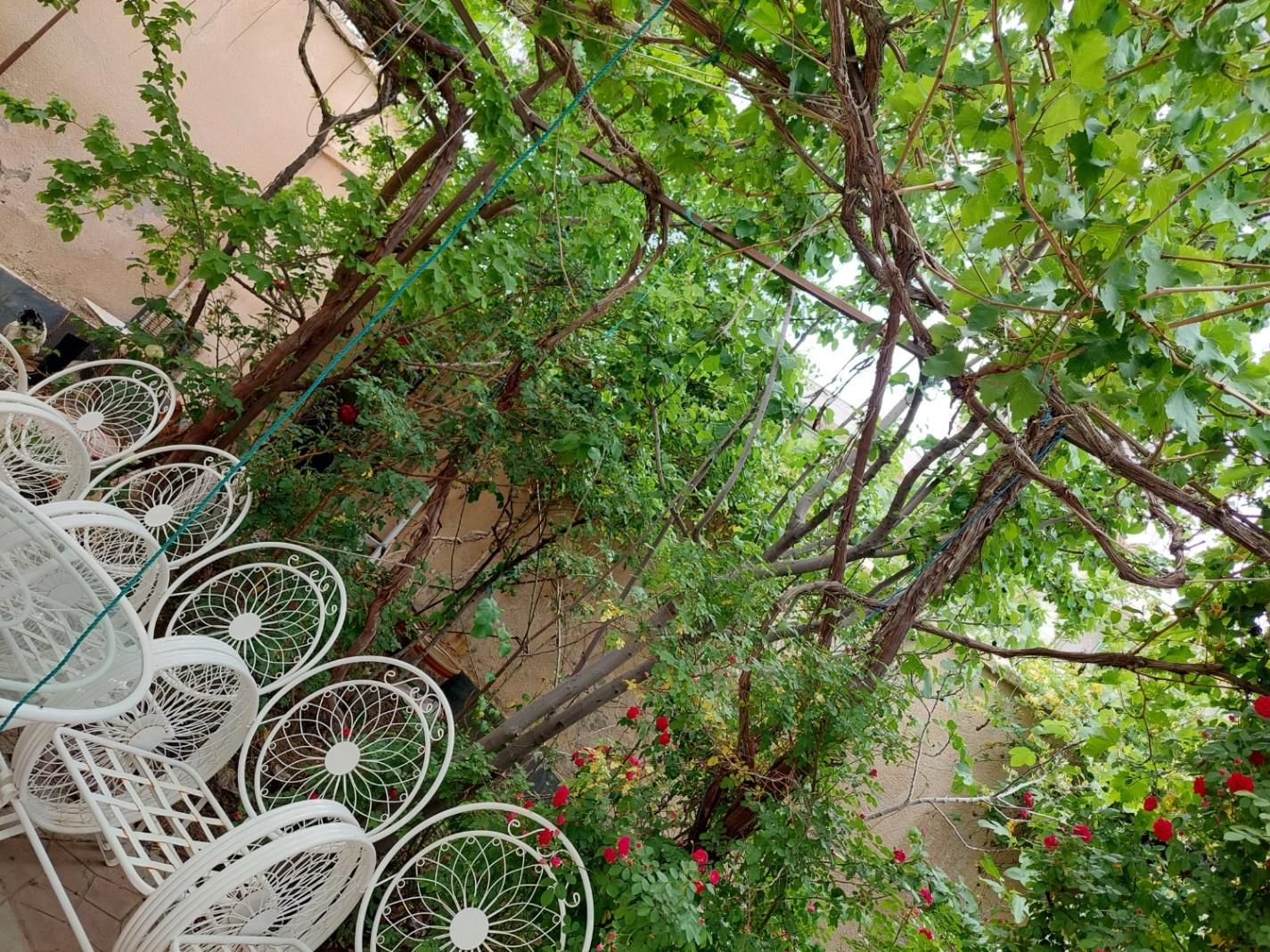 تصویر 4
