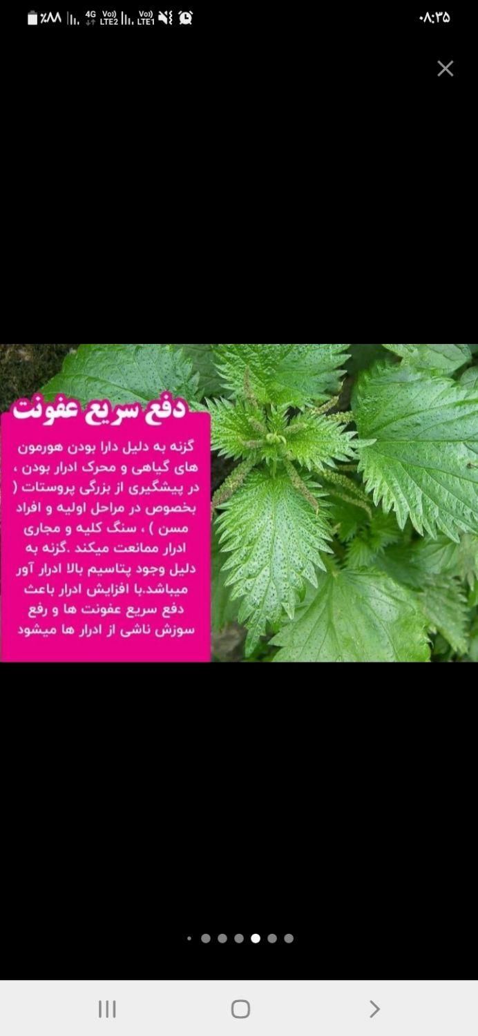 درآمد زایی مخصوص بانوان خانه دار و شاغل|استخدام درمانی، زیبایی، بهداشتی|کرمانشاه, |دیوار