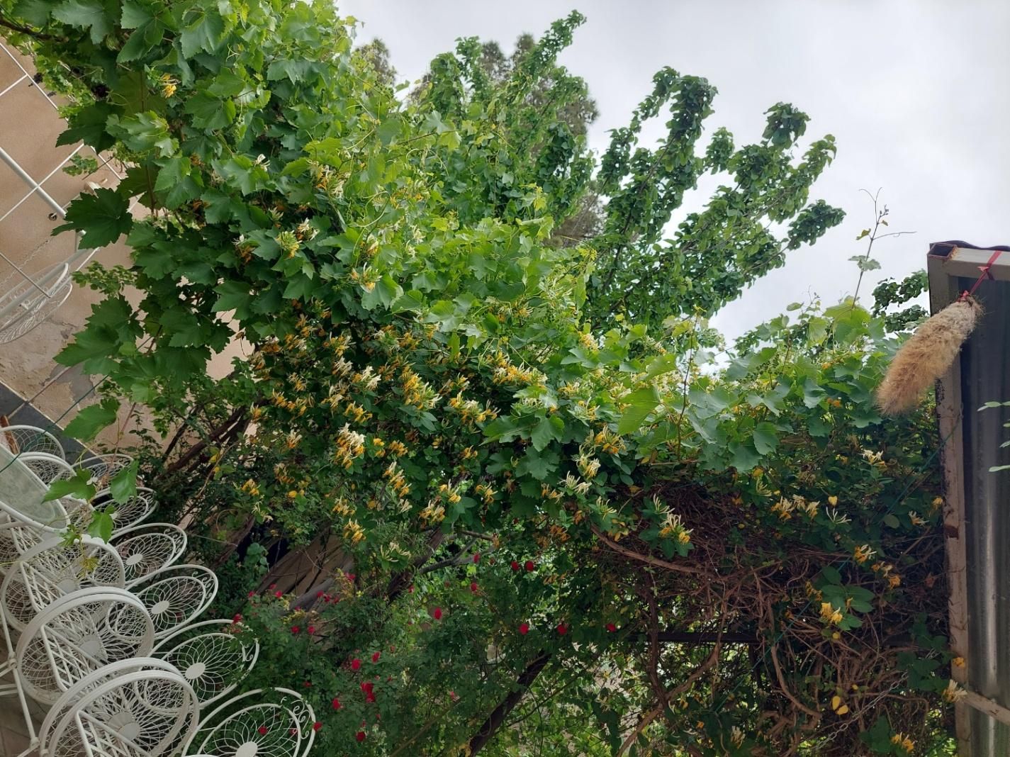 تصویر 6