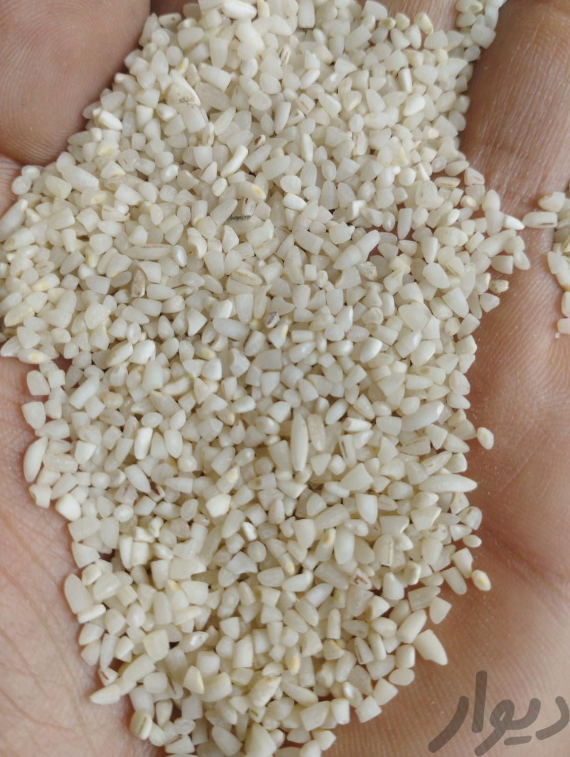 برنج عنبر خالص310|حراج|اهواز, کوت عبدالله|دیوار