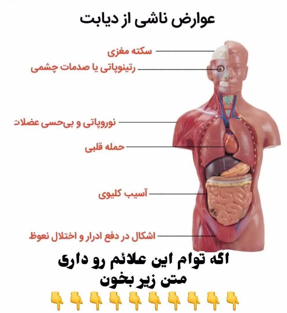 درمان قطعی دیابت|خدمات آرایشگری و زیبایی|تهران, گیشا (کوی نصر)|دیوار