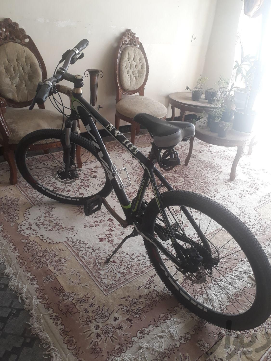 دوچرخه ویوا ترمز روغنی|دوچرخه، اسکیت، اسکوتر|فیروزآباد, |دیوار