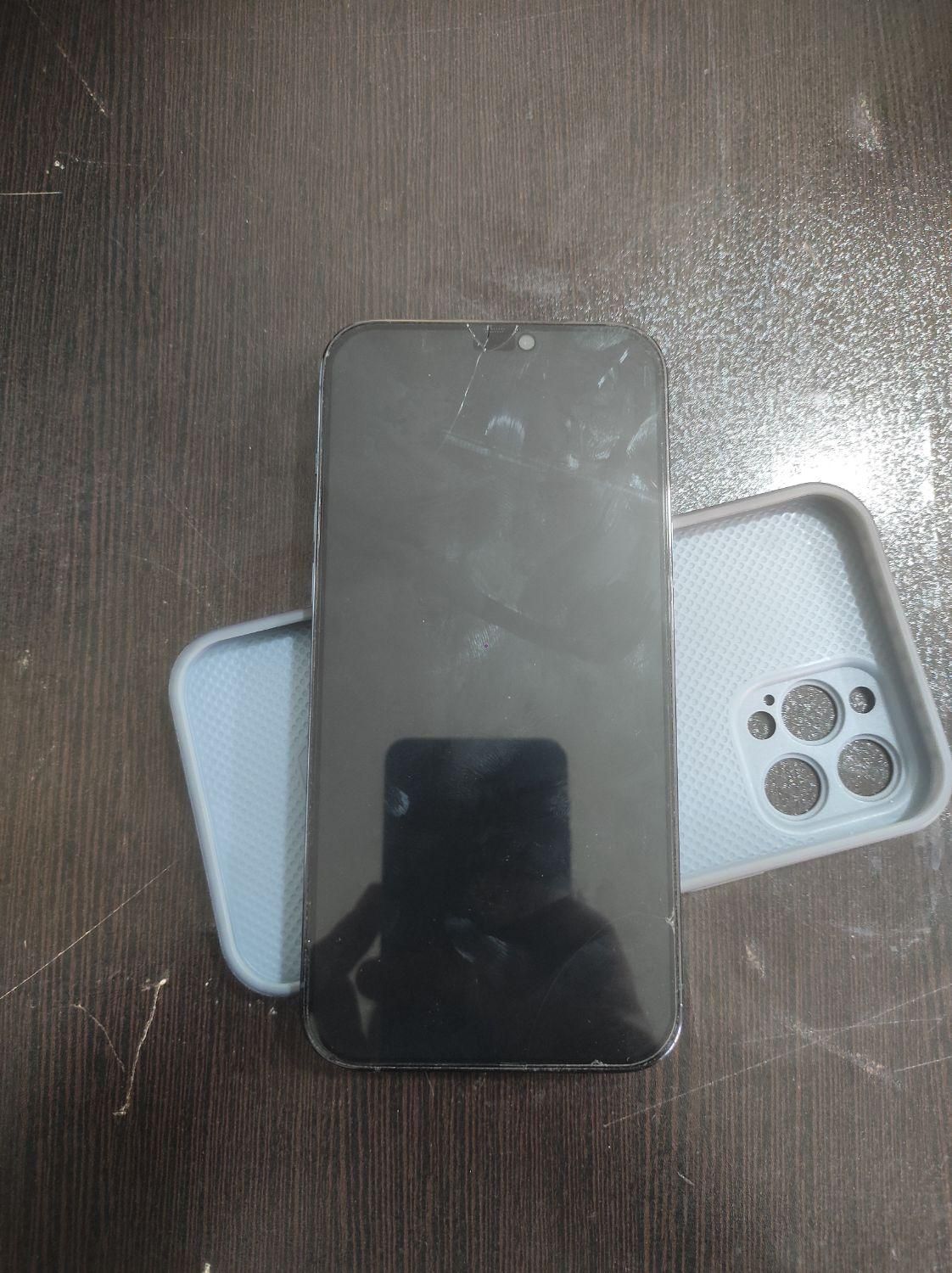 اپل iPhone 12 Pro Max با حافظهٔ ۲۵۶ گیگابایت|موبایل|کرج, ملارد|دیوار