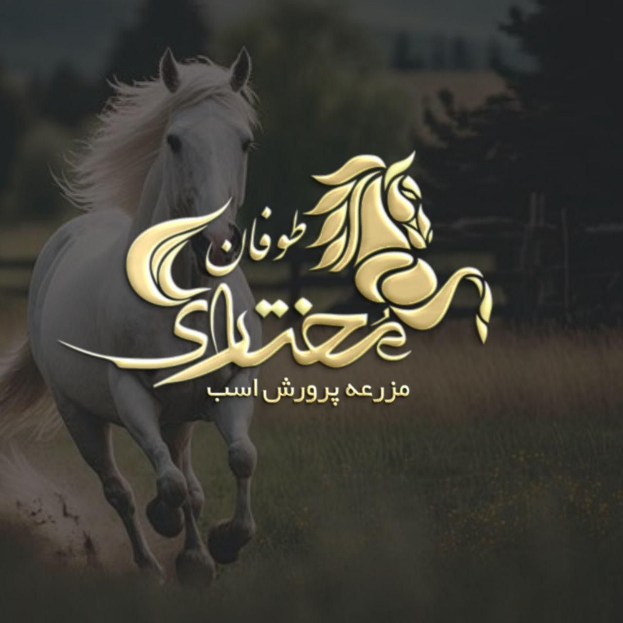 طراحی لوگو و آرم و برند بنر کارت ویزیت سربرگ|خدمات رایانه‌ای و موبایل|تهران, زعفرانیه|دیوار
