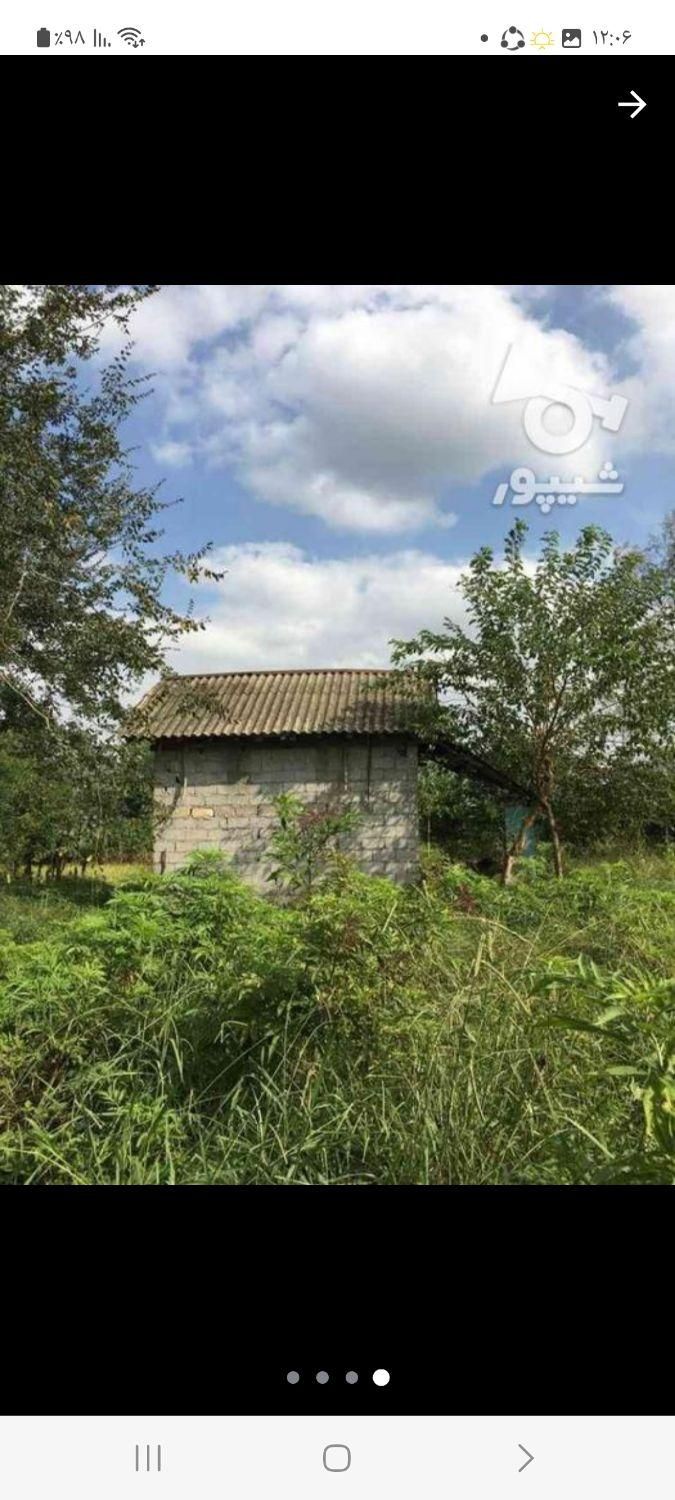۱۱۴۰ متر زمین سند تکبرگ در رشت|فروش زمین و ملک کلنگی|تهران, دانشگاه علم و صنعت|دیوار