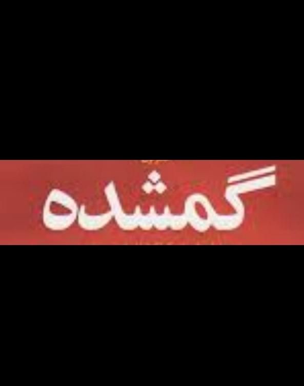 کتاب گمشده|اشیا|سنندج, |دیوار