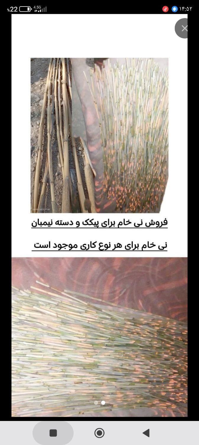نی خام س و ن وم|سازهای بادی|ایذه, |دیوار