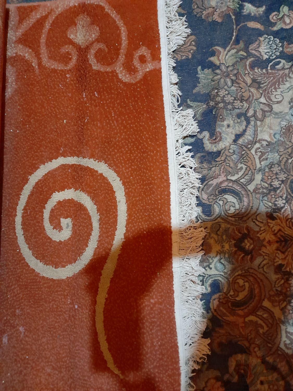 گلیم فرش|فرش|اهواز, حصیرآباد|دیوار