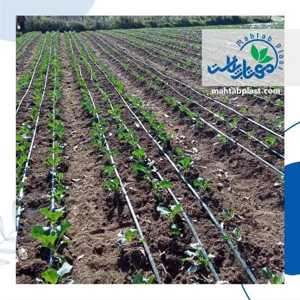 نوار تیپ / آبیاری قطره ای|مصالح و تجهیزات ساختمان|تهران, یاخچی‌آباد|دیوار
