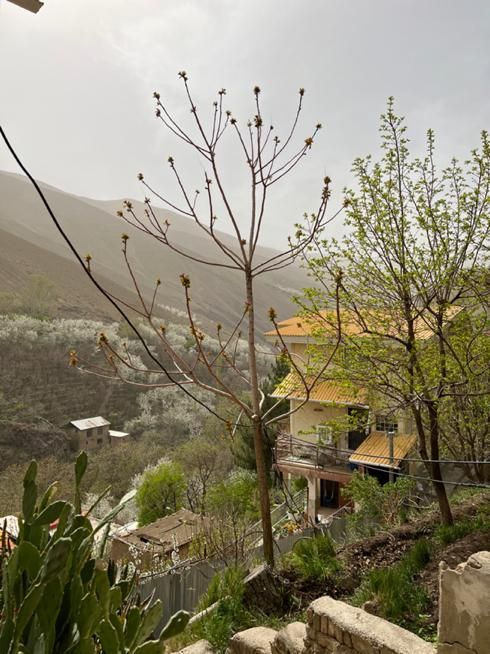 خانه ویلایی ۲۱۴ متری ۲ خوابه در روستای کشار سفلی|فروش خانه و ویلا|تهران, شهران شمالی|دیوار