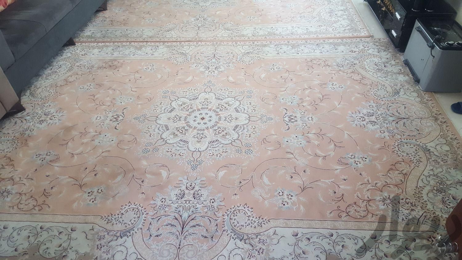 فرش ماشینی|فرش|تهران, خلیج فارس|دیوار
