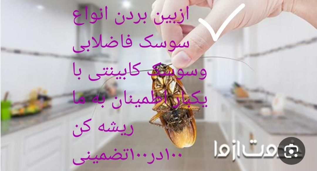 سمپاشی.صدردصدتضمینی سم پاشی سوسک وساس و...|خدمات نظافت|تهران, آذری|دیوار