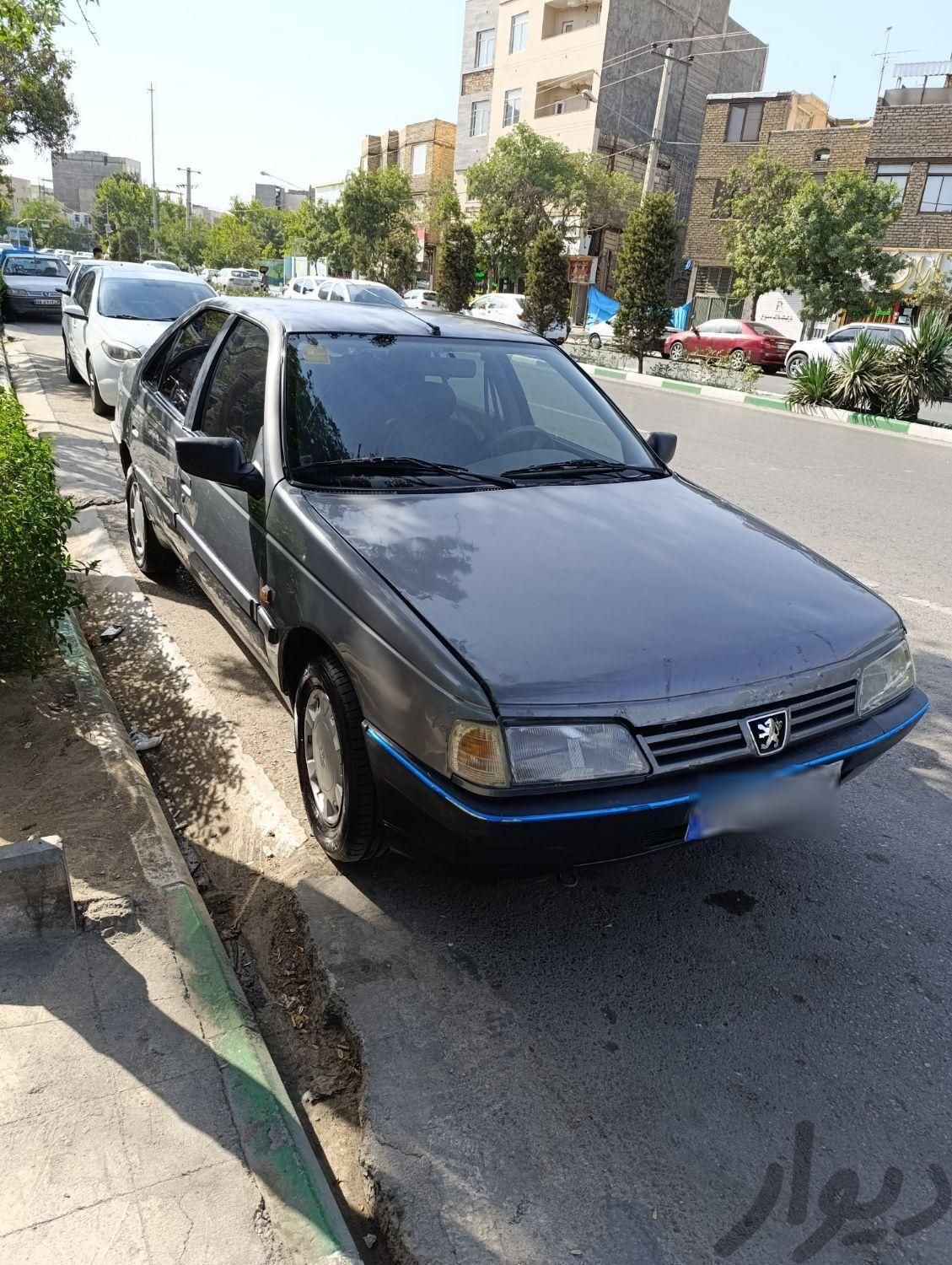 پژو 405 GLX - دوگانه سوز CNG، مدل ۱۳۹۰