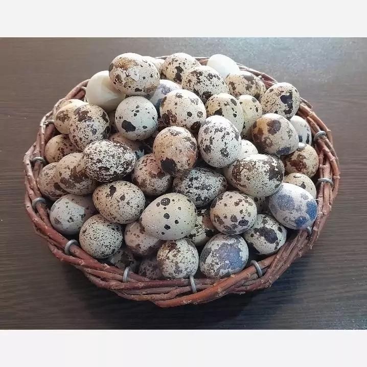 تخم بلدرچین تازه|خوردنی و آشامیدنی|دزفول, |دیوار